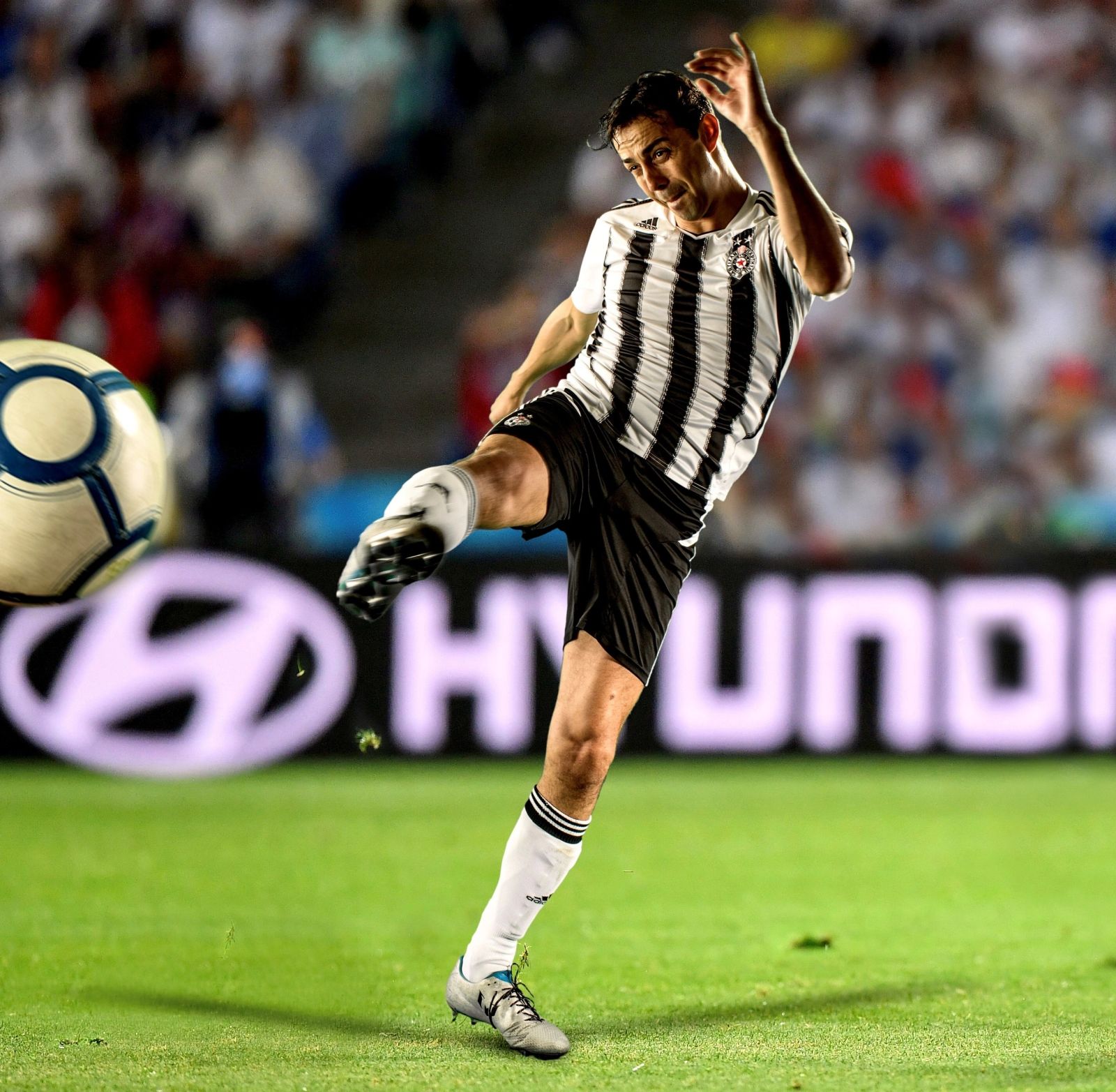 Aleksandar Filimonovic — action shots 22