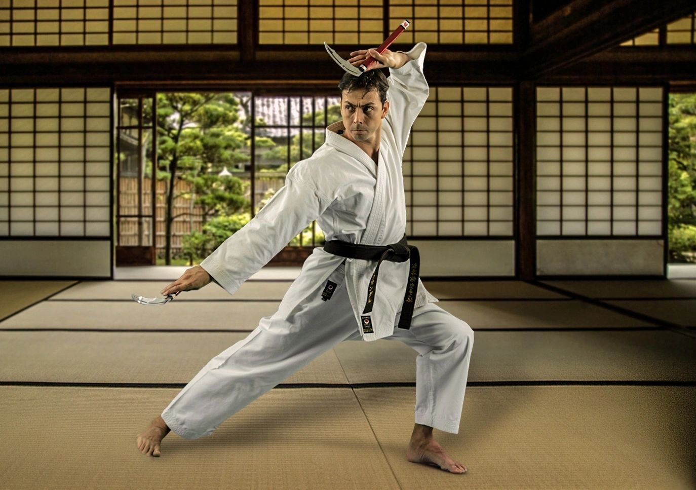 Aleksandar Filimonovic — action shots 38